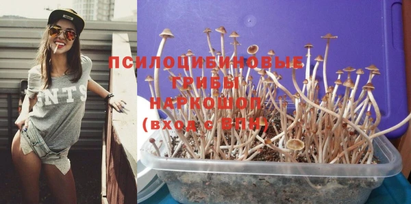 метадон Дмитриев