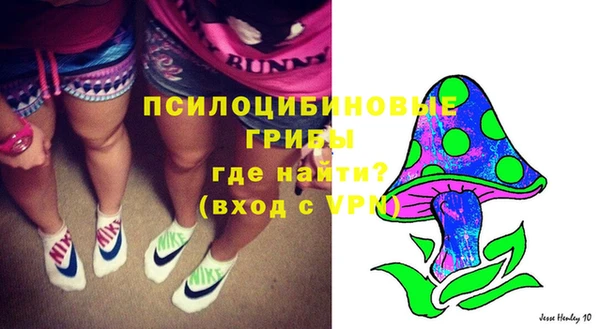 прущая мука Дмитров