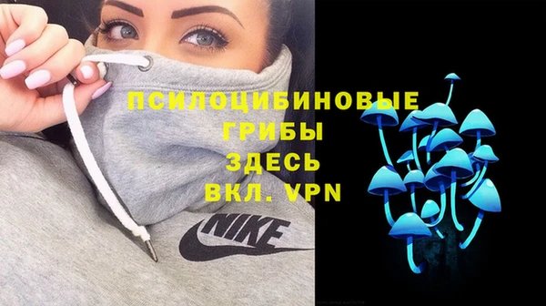 метадон Дмитриев