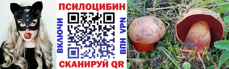 Псилоцибиновые грибы мицелий  Новомосковск 