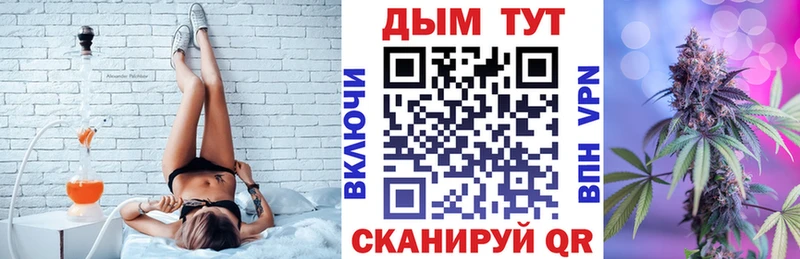 Шишки марихуана Amnesia  где купить наркоту  Новомосковск 